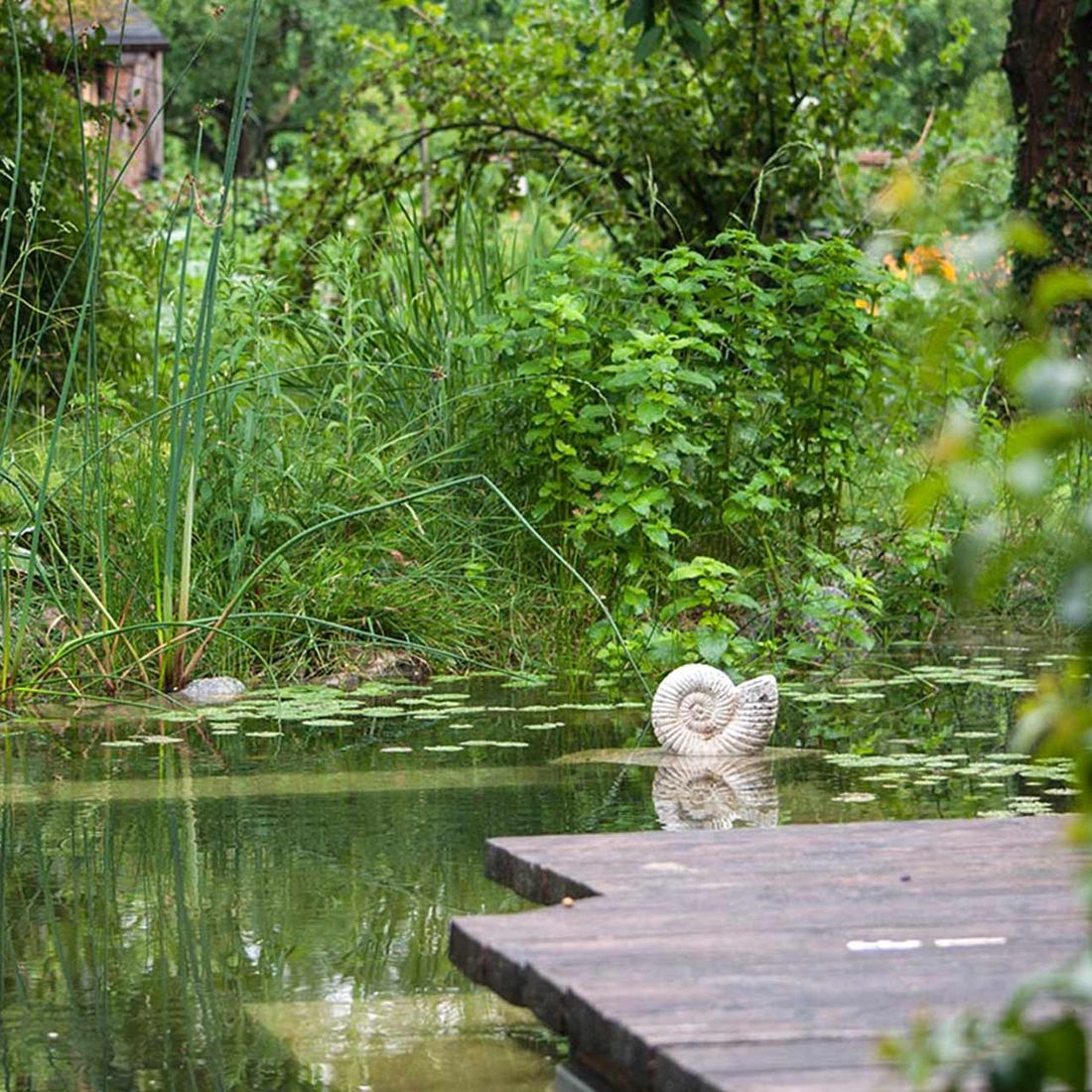 Schwimmteiche