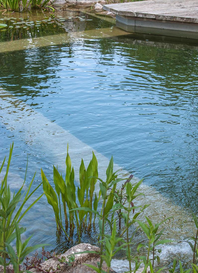 Schwimmteiche