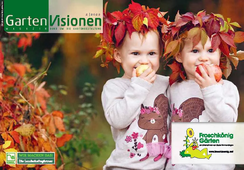 Froschkoenig_223k_Seite_01