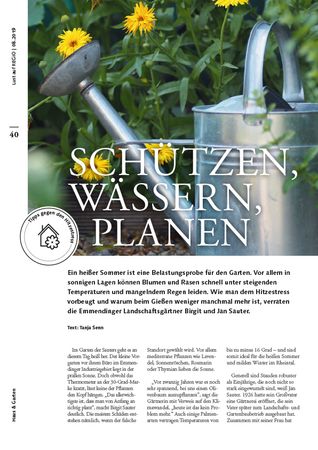 Lust auf REGIO (Ausgabe 01/2019)
