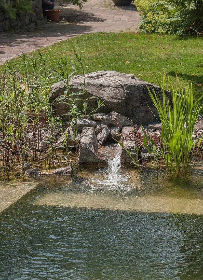 Schwimmteiche