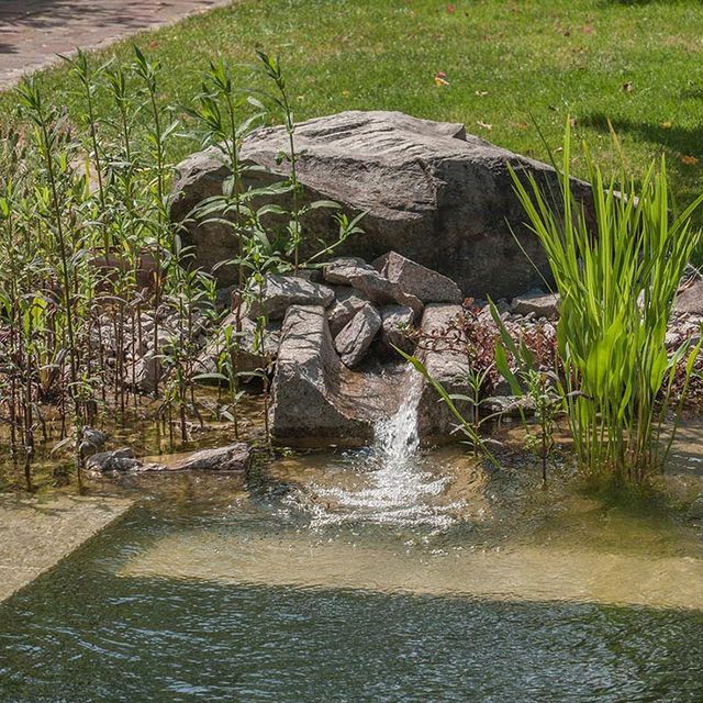 Schwimmteiche