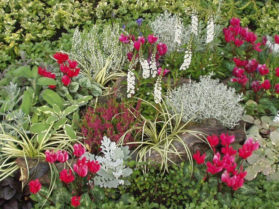 Froschkönig Gärten GmbH