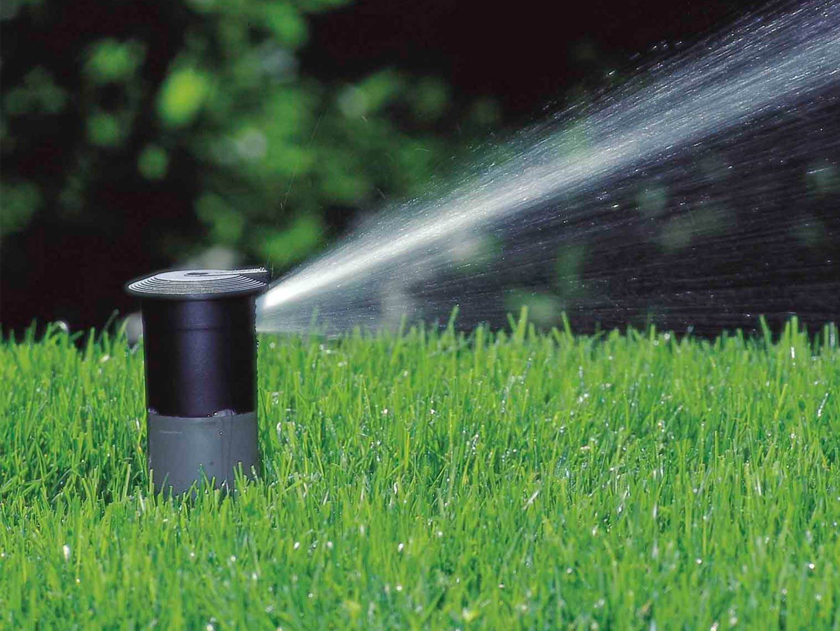 Froschkönig Gärten GmbH