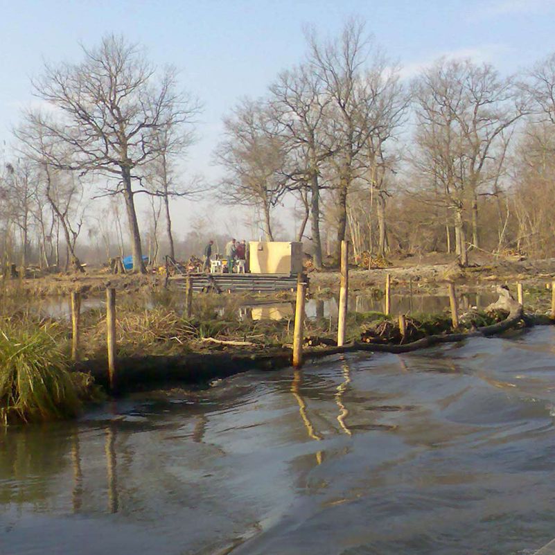 Gartengestaltung