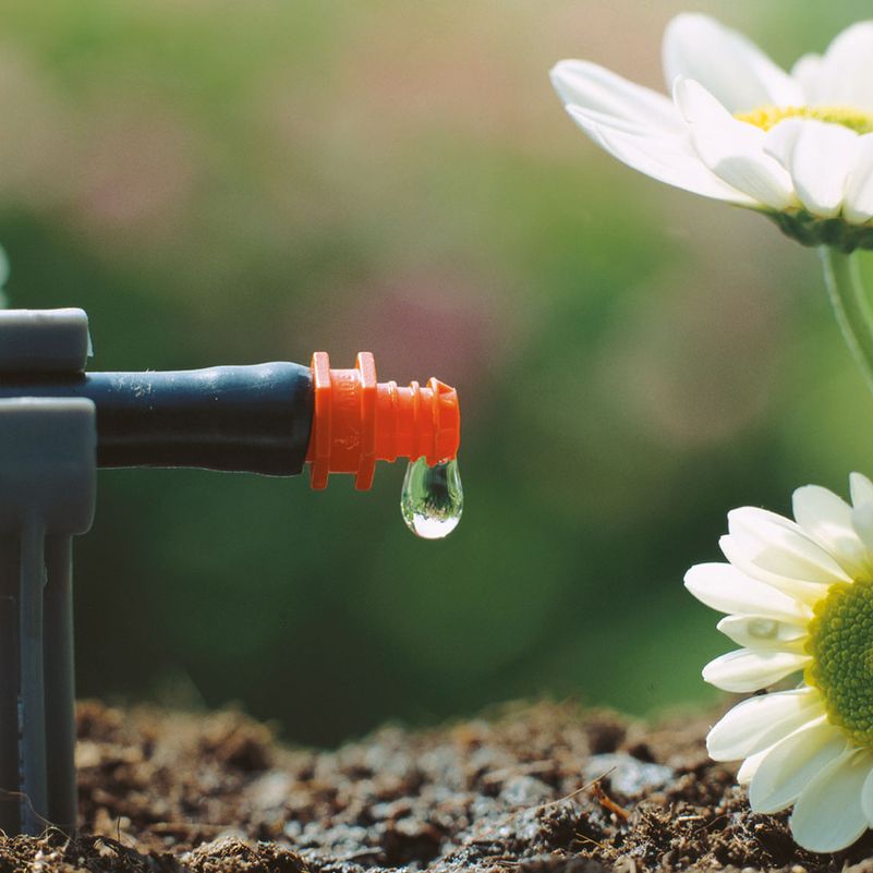 Gartengestaltung